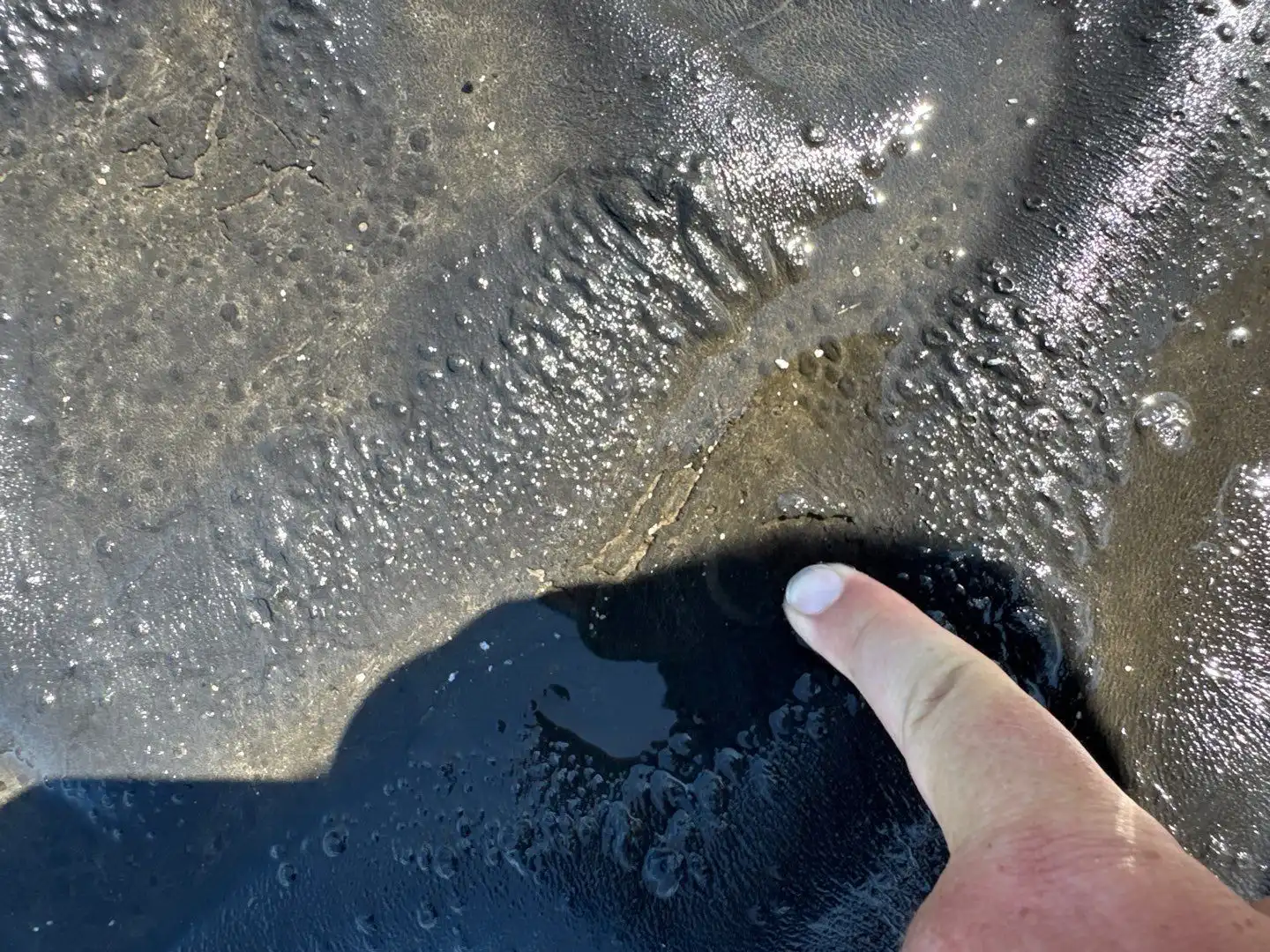 Flat Roof Repair Center Grove: Leak Detection and Fix